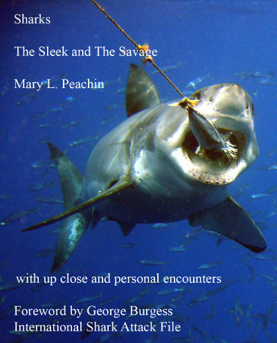 Sharks Sleek and Savage, by Mary L Peachin