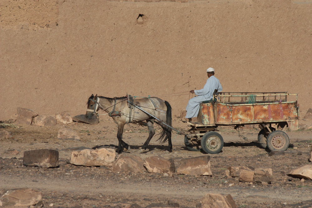 Morocco - High Atlas Mountains, Man On Cart