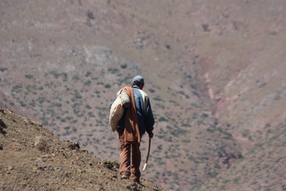 Morocco - High Atlas, Berber Herder