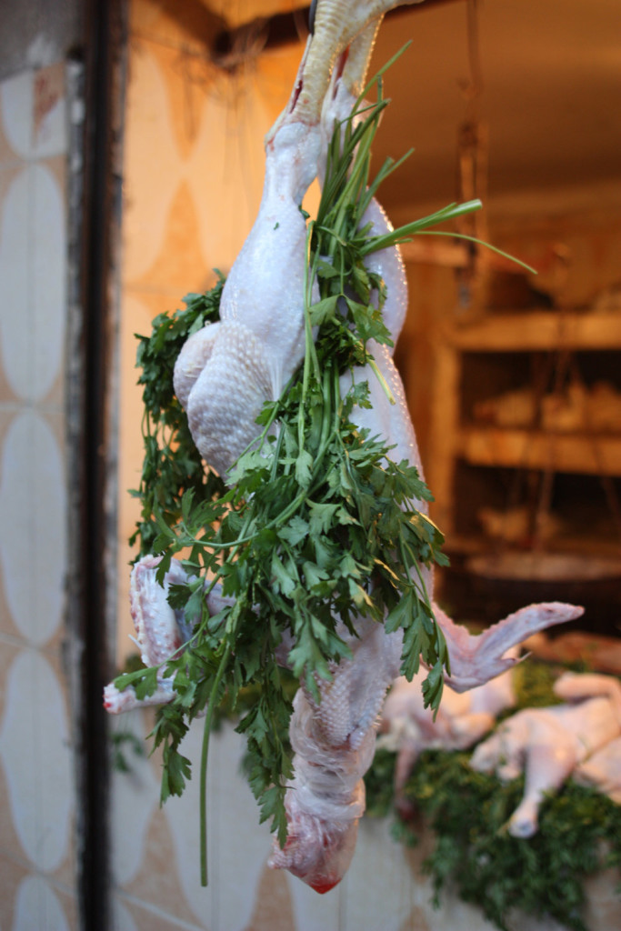 Morocco - Marrakesh Chicken Vendor In Souk