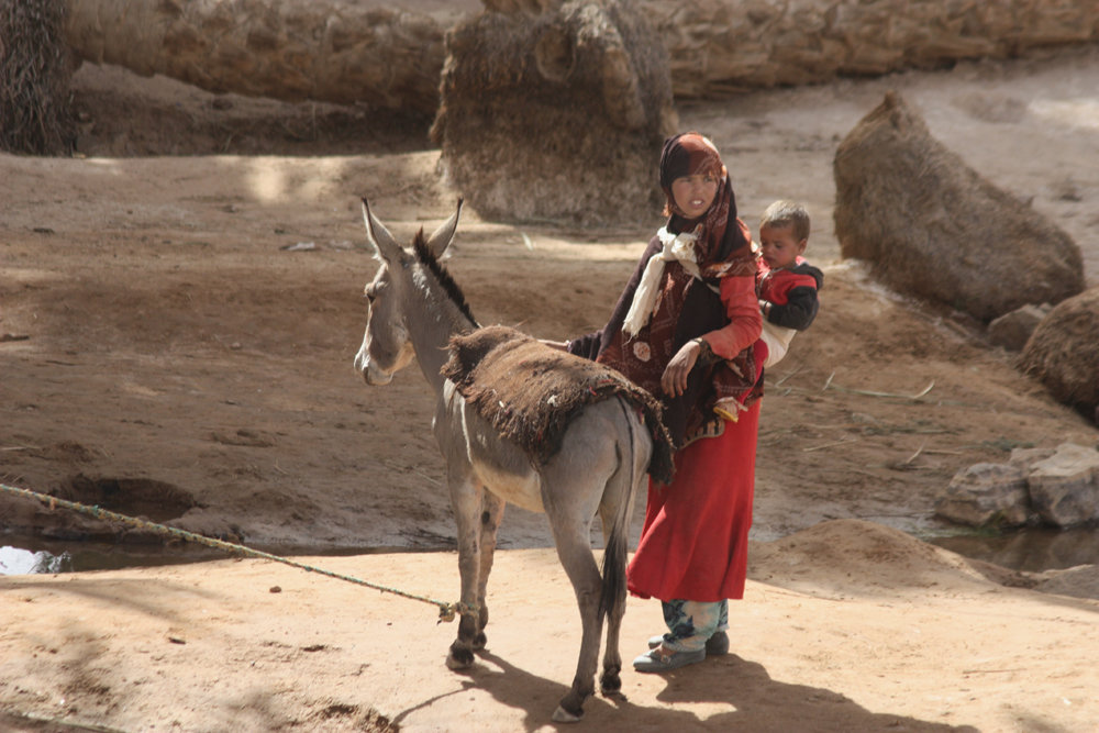 M'Hamid Morocco - Sahara Berber Nomad With Child And Donkey