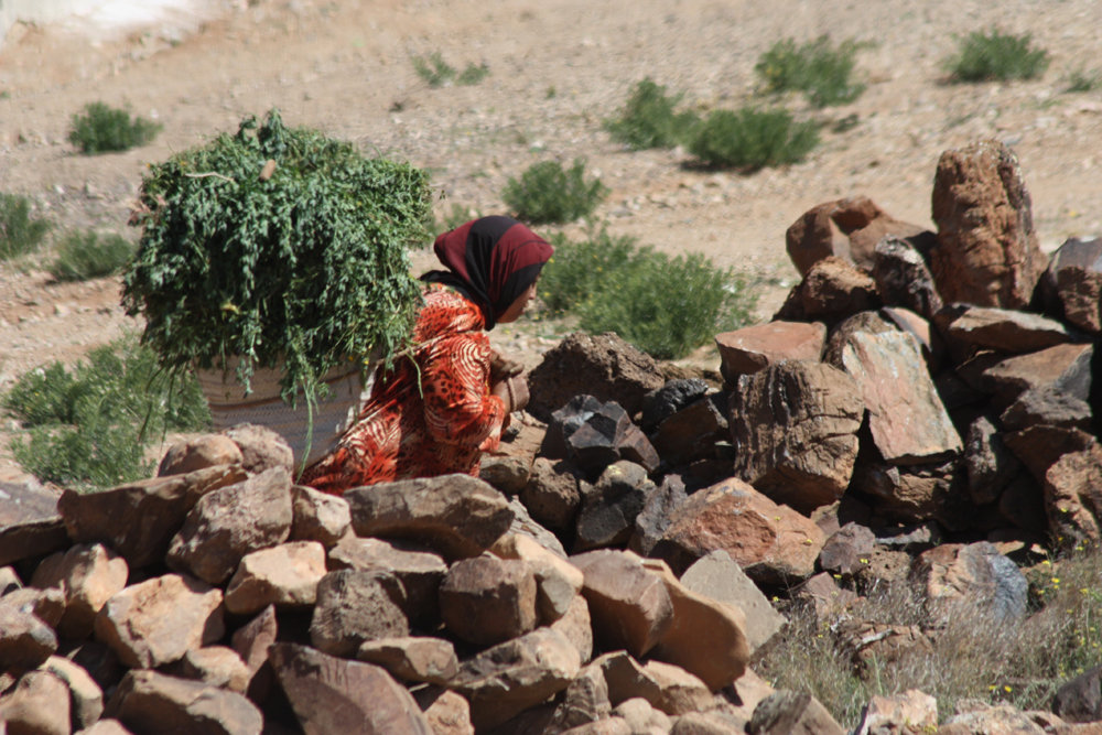 Morocco - Woman Carrying Henna