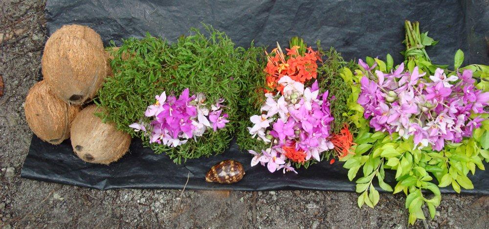 Solomon Island Coconut Flower Market - Mary Peachin