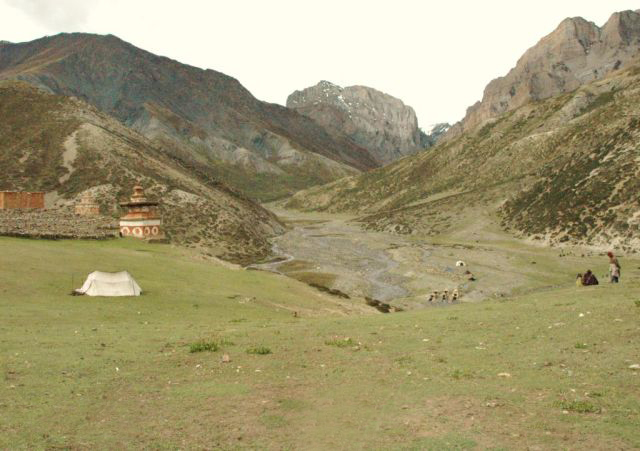 Himalaya Shey meadow Michael McCarthy