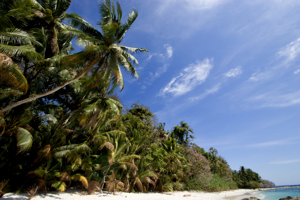 Beach at Jicarita island