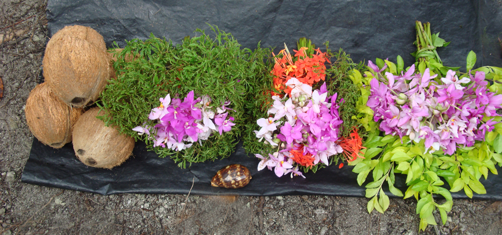 Solomon Island coconut Flower Market Mary Peachin